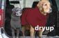 Preview: „Dryup Cape“ Trockencape - Hundebademantel bordeaux